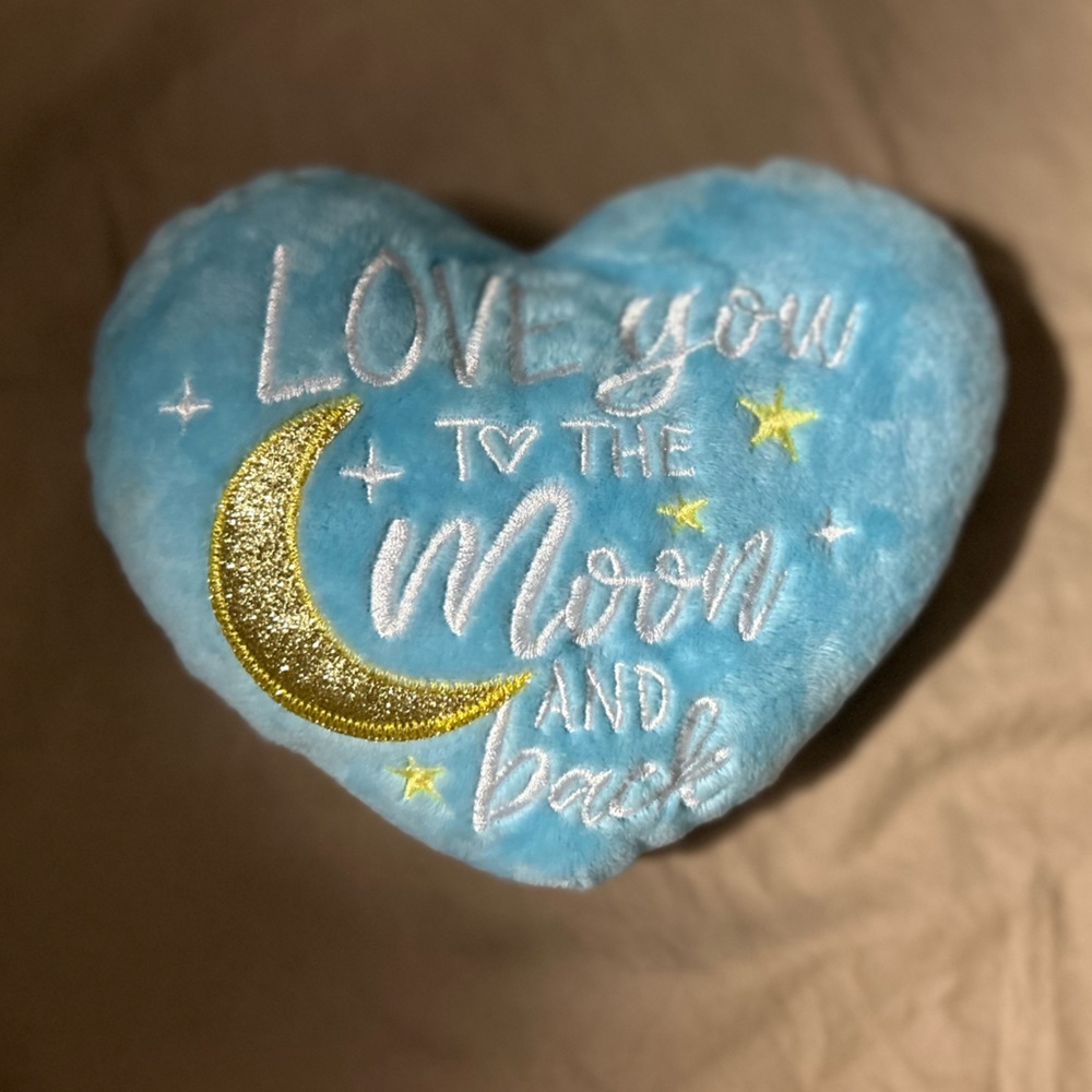 I love you to the moon and back mini pillow